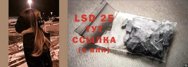индика Алексеевка