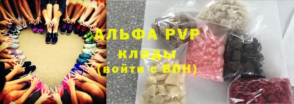 индика Нея