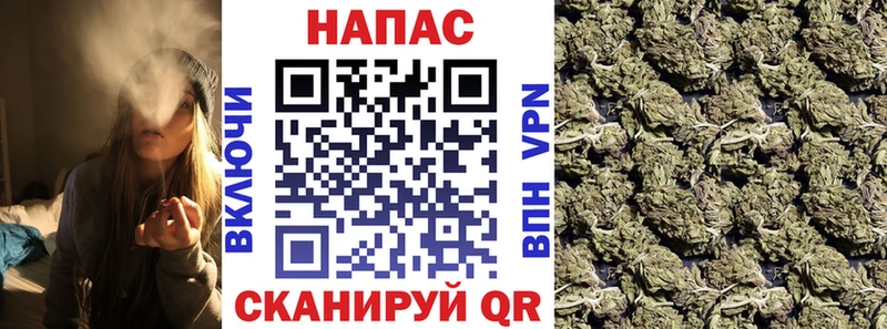 что такое   Лодейное Поле  shop состав  Конопля планчик 